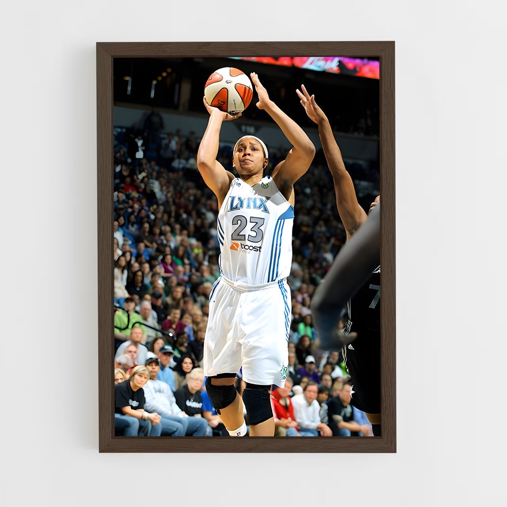 Poster Maya basketball (vue 5)